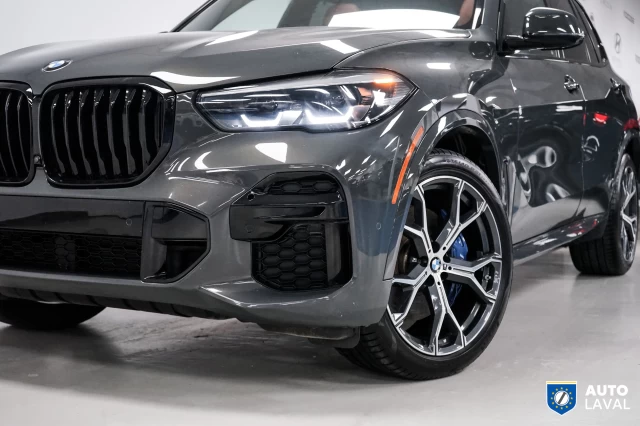 BMW X5 xDrive40i - INDIVIDUAL - SKY LOUNGE - DRAVIT GREY 2022